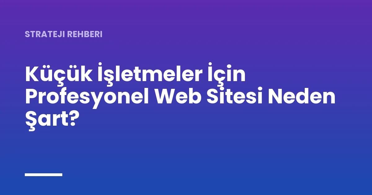 Küçük İşletmeler İçin Profesyonel Web Sitesi Neden Şart?