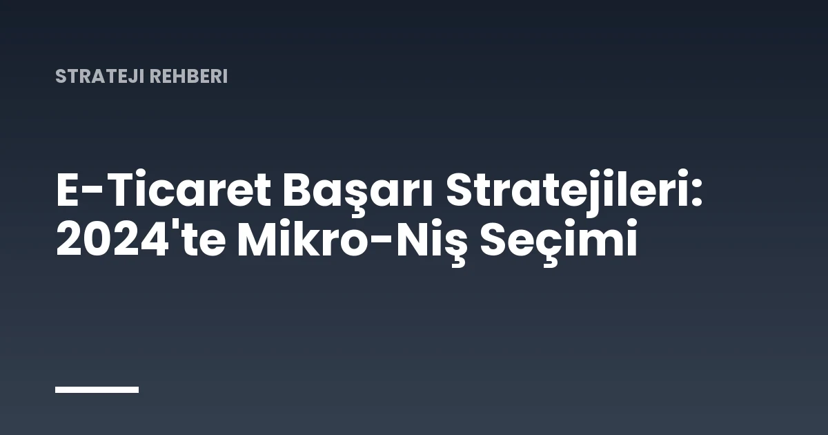 E-Ticaret Başarı Stratejileri: 2024'te Mikro-Niş Seçimi
