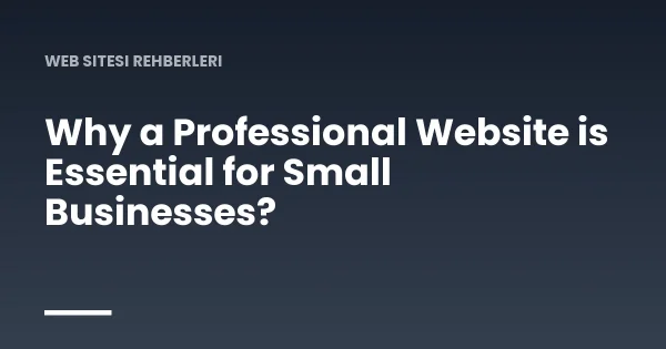 Why a Professional Website is Essential for Small Businesses?