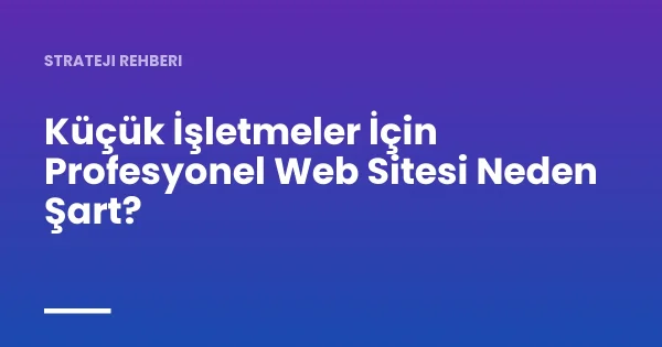 Küçük İşletmeler İçin Profesyonel Web Sitesi Neden Şart?